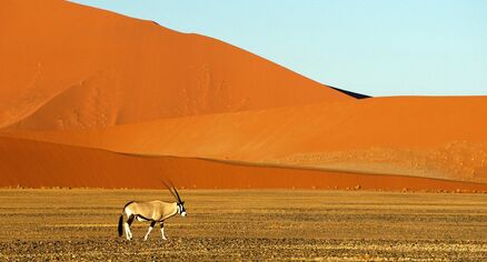 Namibie